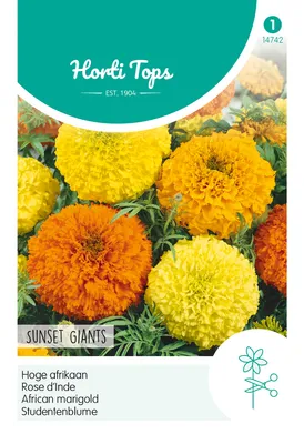 Imagen del producto de Mezcla "Sunset Giants" de flores de estudiante | Semillas de flores de estudiante de Hortitops [Fecha de caducidad: 07/2024]