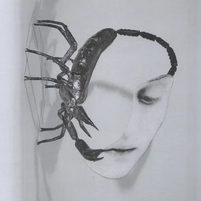 Image de Toucher