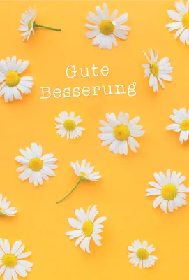 Produktbild von Genesung Gute Besserung Margeriten Glückwunschkarte mit Umschlag
