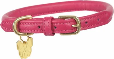 Produktbild von Digby & Fox - Hundehalsband, Aufgerolltes Leder, Schnalle ER2101 (M/L - Neckline: 47 cm-52 cm) (Scharlachrot)