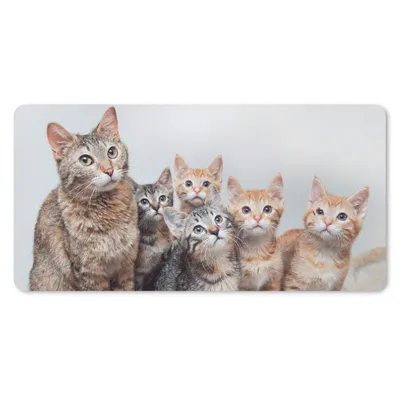 Produktbild von MuchoWow® Mauspad Mousepad Katze - Kätzchen - Fell 60x30 cm - Mousepads - Maus Mat - Pad - Mausunterlage - Nachhaltig