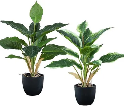 Image de Ensemble Unyqoos® : 2 plantes artificielles réalistes dans des pots noirs, faciles d'entretien, en plastique, 41 cm – Décoration pour salon et bureau