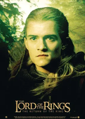 Produktbild von Herr der Ringe Poster die Rückkehr des Königs 68,5 x 98 cm