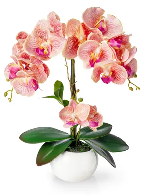 Produktbild von Kunstblumen Orchidee in Topf 40 cm