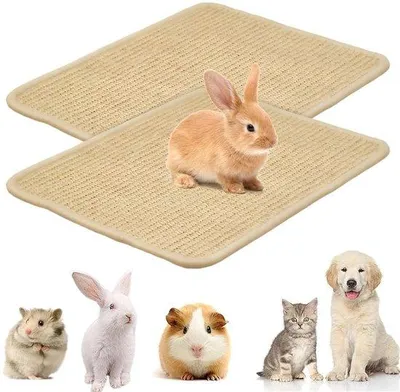 Image de Tapis pour rongeurs, lot de 2, 40 x 30 cm, sisal naturel, pour cochons d'Inde, hamsters, chats