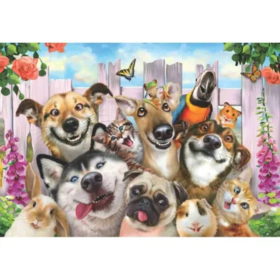 Image de ANATOLIAN Puzzle Selfie animaux domestiques 500 pièces