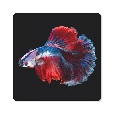 Produktbild von MuchoWow® Mauspad Mousepad Fisch - Schwanz - Schwarz 30x30 cm - Mousepads - Maus Mat - Pad - Mausunterlage - Gaming
