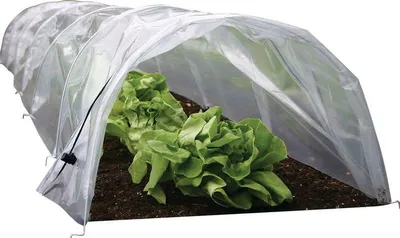 Obrázek produktu pro Parenisko Strend Pro Skleník, mini fóliový skleník, 55x1000x40 cm