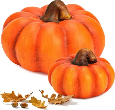 Image de Set de citrouilles orange Ton, 10 & 16 cm comme décoration d'automne & d'Halloween