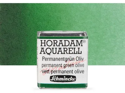 Produktbild von Schmincke HORADAM Aquarellfarbe halbes Näpfchen - 534 Permanent Olivgrün