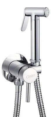 Einhebel-WC-Kraan mit Handbrause, Chrom, Messing, Wandmontage