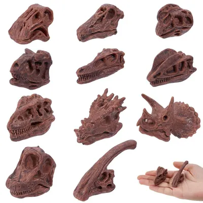 Obrázok produktu pre 11 kusov miniatúrnych lebiek cicavcov na dekoráciu na Halloween
