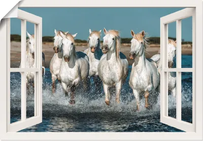 Produktbild von Vadim Petrakov: Fensterblick - Weiße Camargue Pferde galoppieren am Strand entlang, Frankreich, Produkt:Poster, Größe (HxB):50x70 cm / Poster