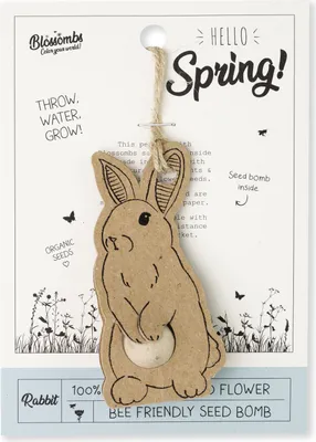 Produktbild von Grußkarte mit Samenbombe-Anhänger - Wildblumensamen Samen Bienenweide - Hello Spring!