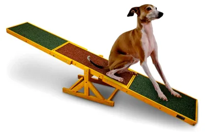 Produktbild von Hundewippe für Agility und Hundetraining