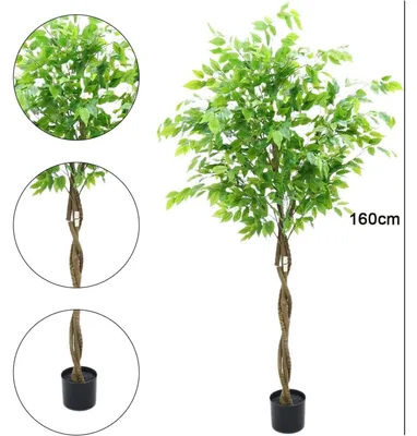 Zdjęcie produktu dla Sztuczny fikus w doniczce - roślina doniczkowa, wysokość 160 cm - bardzo realistyczny wygląd - liście wykonane z tworzywa sztucznego - odporny na promieniowanie UV - do użytku wewnątrz, w domu i biurze