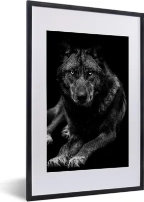 Produktbild von MuchoWow® Gerahmtes Poster Tiere - Wolf - Schwarz - Weiß - Porträt 40x60 cm - Poster mit Schwarzem Bilderrahmen Wandposter Rahmen Foto Bilder - Poster in Rahmen