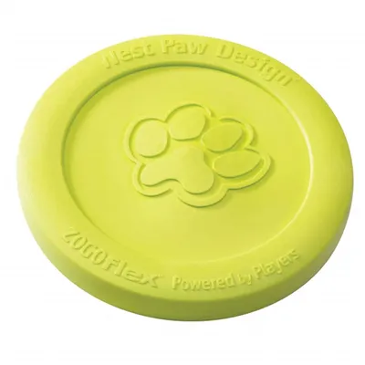 Obrázok produktu pre West Paw Zisc - 22 cm - Lime