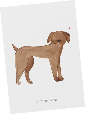 Produktbild von Mr. & Mrs. Panda Postkarte Hund Dogge - Weiß - Geschenk, Deutsche, Grußkarte, Postkarten, Sprüche, bildkarte, Süß, Ansichtskarte, Herz, Ansichtskarten