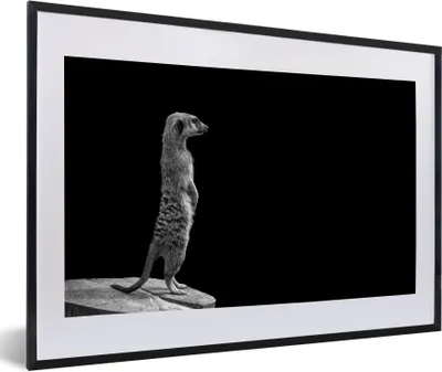 Produktbild von MuchoWow® Gerahmtes Poster Erdmännchen für schwarzen Hintergrund - schwarz und weiß 60x40 cm - Poster mit Schwarzem Bilderrahmen Wandposter Rahmen Foto Bilder - Schlafzimmer - Plakat in Rahmen - Drucken