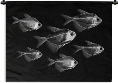 Produktbild von MuchoWow® Wandteppich Wandbehang Salmler auf schwarzem Hintergrund - schwarz und weiß 150x112 cm Tapisserie Dekoration Wandtuch - Wanddecke - Wandteppiche
