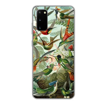 Produktbild von MuchoWow® Handyhülle Schutzhülle Hülle für Samsung Galaxy S20 Trochilidae - Alte Meister - Kunst Silikon Softcase Handy Hülle - Bild