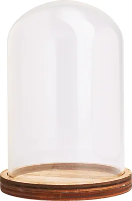 Produktbild von VBS Deko Glasglocke mit Boden 9 cm Durchmesser 12 cm Höhe Dekoration Display