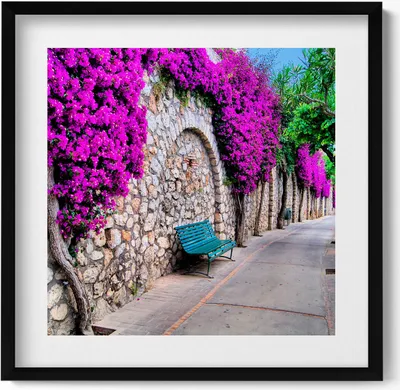 Produktbild von Straße mit Blumen auf Capri, Italien– Wandbild mit Rahmen – Gerahmtes Bild  – Wanddekoration – 50x50 cm –  Schwarz Rahmen