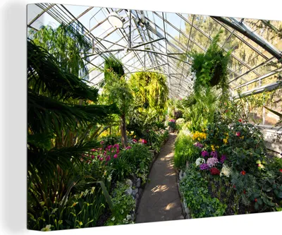 Produktbild von OneMillionCanvasses® - Leinwandbilder - 140x90 cm, Botanischer Garten in einem Gewächshaus, Wandbilder Kunstdruck Wanddekoration