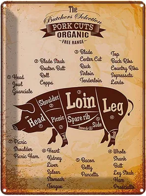 Produktbild von vianmo Blechschild 40x30 cm Pork cuts organic Metzgerei Hofladen Marktstand Laden