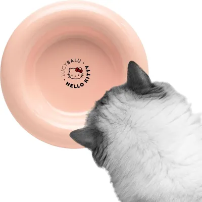 Obrázek produktu pro Drop porseleinen cat bak | vyvýšená miska na jídlo a vodu pro kočky | ergonomický design | bílá