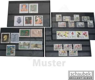 Produktbild von Schaubek K5510 Kassette mit 30 Einsteckkarten, sortiert