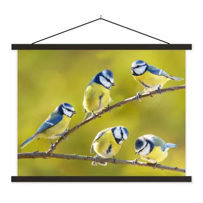 Produktbild von MuchoWow® Textilposter Vogel - Blaumeise - Äste - Sonne 150x113 cm mit holzfarbenen Rahmen - Poster