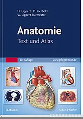Obrázek produktu pro Anatomie
