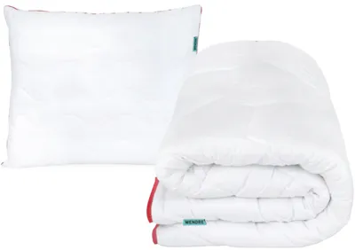 Produktbild von Wendre Winterdecke 220x200 cm Kissen 70x80 cm Set