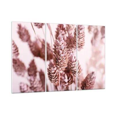 Produktbild von Bilder auf glas - 3 Teile - Getrocknet Blume Eco - 165x110cm - Glasbilder - Wandbilder - Bilder - zum Aufhängen bereit - Wanddekoration aus Glas - Glas Bilder - Wandbild auf Glas - GCE165x110-4912