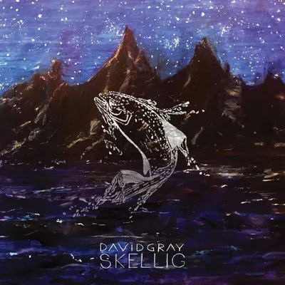 Immagine prodotto di David Gray - Vinile Skellig