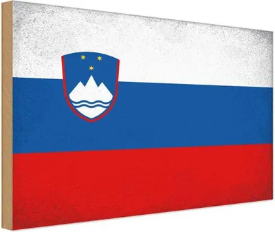 Produktbild von vianmo Holzschild 12x18 cm Slowenien Slovenia Vintage Flagge Fahne Wappen