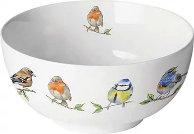 Immagine prodotto di Ciotola Bowle con motivi di uccelli