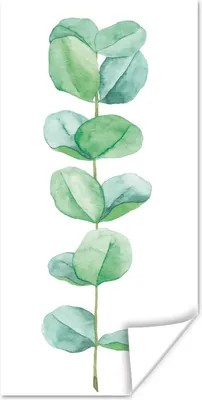 Produktbild von MuchoWow® Poster Aquarell - Eukalyptus - Pflanze 60x120 cm - Wandschmuck