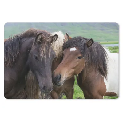 Produktbild von MuchoWow® Schreibtischunterlage Pferde - Tiere - Braun 60x40 cm - XXL Mauspad - Großes Mauspad