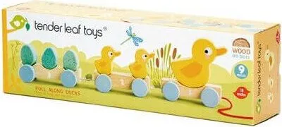 Immagine prodotto di TENDERLEAFTOYS - Anatra a pelo d'oro
