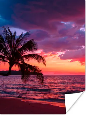 Produktbild von MuchoWow® Poster Sonne - Horizont - Rosa - Palme - Meer 90x120 cm - Wohnzimmer