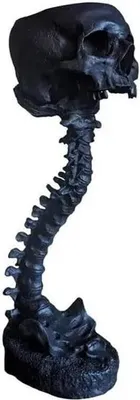 A black skull and spine stand.