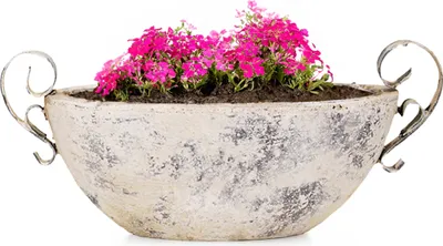 Produktbild von Keramik Pflanzschale für draussen oval Deko-Schale beige 28,5 cm
