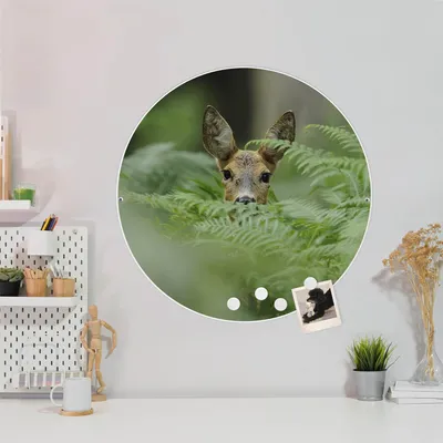 Produktbild von Design Stahlmagnettafel Weiß Rund 47cm Reh
