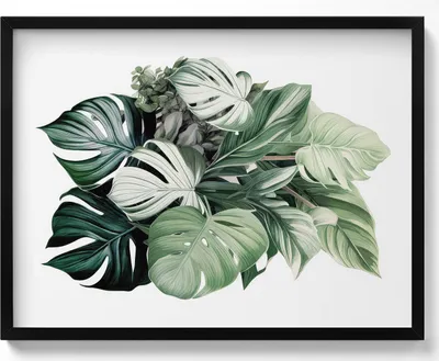 Produktbild von Bemalte Monstera-Blätter– Wandbild mit Rahmen – Gerahmtes Bild  – Wanddekoration – 80x60 cm –  Schwarz Rahmen