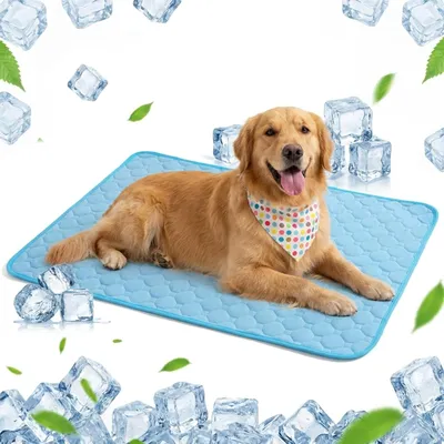 Obrázok produktu pre Klietka pre psov a mačky, 70 x 100 cm