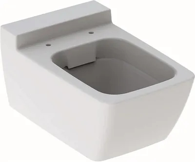 Immagine prodotto di Geberit Xeno 2 WC, lavabo profond, suspendu, sans rebord, sortie 540 mm, blanc avec KeraTect, 500500011, 500.500.01.1, 500.500.01.1