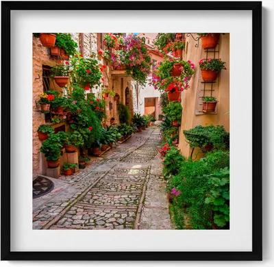 Produktbild von Eine blumengeschmückte Straße in Italien– Wandbild mit Rahmen – Gerahmtes Bild  – Wanddekoration – 50x50 cm –  Schwarz Rahmen